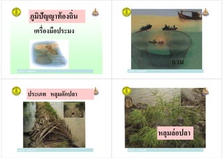 ภูมิปัญญาท้องถิน
เครืองมือประมง
ครูวิภา แจ่มฤทธิ ครูวิภา แจ่มฤทธิ
อวน
ครูวิภา แจ่มฤทธิ
ประเภท หลุมดักปลา
ครูวิภา แจ่มฤทธิ ครูวิภา แจ่มฤทธิ
หลุมล่อปลา
ครูวิภา แจ่มฤทธิ
 