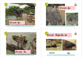 ครูวิภา แจ่มฤทธิ
ประเภท สุ่ม
ครูวิภา แจ่มฤทธิ
ประเภท สุ่ม
ครูวิภา แจ่มฤทธิครูวิภา แจ่มฤทธิ
ครูวิภา แจ่มฤทธิ
ประเภท จัน
ครูวิภา แจ่มฤทธิ
ประเภท ทีอยู่อาศัย ล่อ
ครูวิภา แจ่มฤทธิ
ชะนาง เสือ
ครูวิภา แจ่มฤทธิ
 