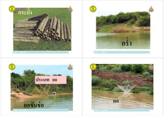 กระบั!ง
ครูวิภา แจ่มฤทธิครูวิภา แจ่มฤทธิ ครูวิภา แจ่มฤทธิ
กรํา
ครูวิภา แจ่มฤทธิ
ประเภท ยอ
ครูวิภา แจ่มฤทธิ
ยอขันช่อครูวิภา แจ่มฤทธิ ครูวิภา แจ่มฤทธิ
ยอ
ครูวิภา แจ่มฤทธิ
 