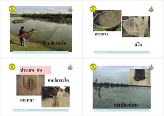 ครูวิภา แจ่มฤทธิ
ช้อนปลาชะโด
ครูวิภา แจ่มฤทธิ ครูวิภา แจ่มฤทธิ
ตะแกรง
สวิง
ครูวิภา แจ่มฤทธิ
ประเภท แห
แหปลาชะโด
ครูวิภา แจ่มฤทธิ
แหเพลา
ครูวิภา แจ่มฤทธิ
แหปลาช่อน
ครูวิภา แจ่มฤทธิ
 