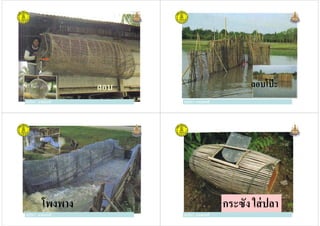 ครูวิภา แจ่มฤทธิ
ลอบ
ครูวิภา แจ่มฤทธิ ครูวิภา แจ่มฤทธิ
ลอบโป๊ะ
ครูวิภา แจ่มฤทธิ
ครูวิภา แจ่มฤทธิ
โพงพาง
ครูวิภา แจ่มฤทธิ ครูวิภา แจ่มฤทธิ
กระซัง ใส่ปลา
ครูวิภา แจ่มฤทธิ
 