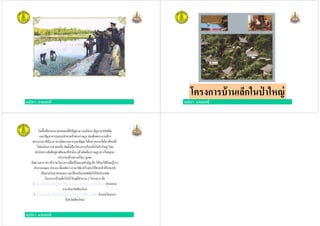 ครูวิภา แจ่มฤทธิ ครูวิภา แจ่มฤทธิ
โครงการบ้านเล็กในป่ าใหญ่
ครูวิภา แจ่มฤทธิ
ในพืนทีตามแนวชายแดนทีมีปัญหาความมันคง ปัญหายาเสพติด
และปัญหาการบุกรุกทําลายป่าของราษฎร สมเด็จพระนางเจ้าฯ
พระบรมราชินีนาถ ทรงมีพระมหากรุณาธิคุณ ให้หน่วยงานทีเกียวข้องเข้า
ไปดําเนินการช่วยเหลือ จัดตังเป็นโครงการบ้านเล็กในป่าใหญ่ โดย
ดําเนินการจัดทีอยู่อาศัยและทีทํากิน แล้วคัดเลือกราษฎรชาวไทยภูเขา
ประกอบด้วยกะเหรียง, มูเซอ
ลีซอ และอาข่า เข้าร่วมโครงการเพือเป้าหมายสําคัญ คือ ให้คนได้เรียนรู้การ
ทําการเกษตร ประมง เลียงสัตว์การอาชีพ สร้างคนให้ทําหน้าทีรักษาป่า
ครูวิภา แจ่มฤทธิ
ทําการเกษตร ประมง เลียงสัตว์การอาชีพ สร้างคนให้ทําหน้าทีรักษาป่า
เป็นยามรักษาชายแดน และป้องกันยาเสพติดให้กับประเทศ
โครงการบ้านเล็กในป่าใหญ่มีจํานวน 2 โครงการ คือ
1. โครงการบ้านเล็กในป่าใหญ่ ตามพระราชดําริ ดอยฟ้าห่มปก อําเภอแม่
อาย จังหวัดเชียงใหม่
2. โครงการบ้านเล็กในป่าใหญ่ ตามพระราชดําริ ดอยดํา อําเภอเวียงแหง
จังหวัดเชียงใหม่
 