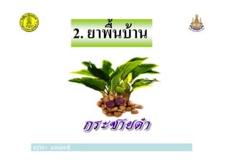 2. ยาพืนบ้าน
ครูวิภา แจ่มฤทธิ
 