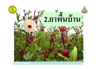 2.ยาพืนบ้าน
ครูวิภา แจ่มฤทธิครูวิภา แจ่มฤทธิ
 