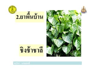2.ยาพืนบ้าน
ครูวิภา แจ่มฤทธิ
ชิงช้าชาลี
 