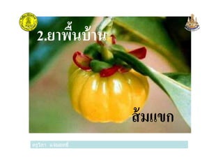 2.ยาพืนบ้าน
ครูวิภา แจ่มฤทธิ
ส้มแขก
ครูวิภา แจ่มฤทธิ
 