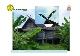 ครูวิภา แจ่มฤทธิครูวิภา แจ่มฤทธิ
 