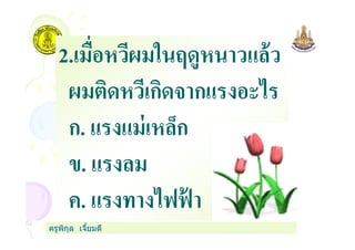 2.เมือหวีผมในฤดูหนาวแล้ว
ผมติดหวีเกิดจากแรงอะไร
ก. แรงแม่เหล็ก
ครูพิกุล เจียมดี
ก. แรงแม่เหล็ก
ข. แรงลม
ค. แรงทางไฟฟ้ า
 