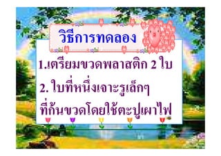 วิธีการทดลองวิธีการทดลอง
1.เตรียมขวดพลาสติก 2 ใบ
2. ใบที%หนึ%งเจาะรูเล็กๆ2. ใบที%หนึ%งเจาะรูเล็กๆ
ที%ก้นขวดโดยใช้ตะปูเผาไฟ
 