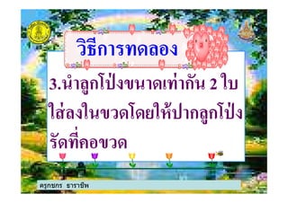 วิธีการทดลองวิธีการทดลอง
3.นําลูกโป่ งขนาดเท่ากัน 2 ใบ
ใส่ลงในขวดโดยให้ปากลูกโป่ งใส่ลงในขวดโดยให้ปากลูกโป่ ง
รัดที%คอขวด
ครูกชกร ธาราชีพ
 
