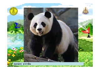 2.
ครูกชกร ธาราชีพ
 