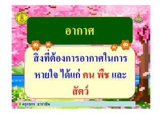 อากาศอากาศ
สิ'งที'ต้องการอากาศในการสิ'งที'ต้องการอากาศในการ
ครูกชกร ธาราชีพ
สิ'งที'ต้องการอากาศในการสิ'งที'ต้องการอากาศในการ
หายใจ ได้แก่หายใจ ได้แก่ คน พืชคน พืช และและ
สัตว์สัตว์
 