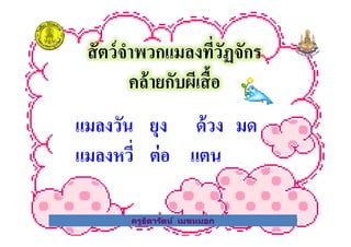 สัตว์จําพวกแมลงที*วัฏจักร
คล้ายกับผีเสือ
แมลงวัน ยุง ด้วง มด
ครูธิดารัตน์ เมฆหมอก
แมลงวัน ยุง ด้วง มด
แมลงหวี* ต่อ แตน
ครูธิดารัตน์ เมฆหมอก
 