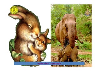 ครูธิดารัตน์ เมฆหมอกครูธิดารัตน์ เมฆหมอก
 