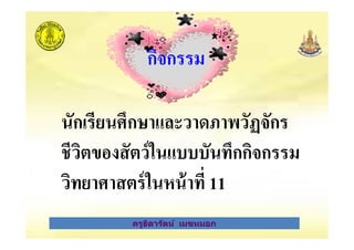 กิจกรรม
นักเรียนศึกษาและวาดภาพวัฏจักร
ครูธิดารัตน์ เมฆหมอก
นักเรียนศึกษาและวาดภาพวัฏจักร
ชีวิตของสัตว์ในแบบบันทึกกิจกรรม
วิทยาศาสตร์ในหน้าที* 11
ครูธิดารัตน์ เมฆหมอก
 