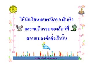 ให้นักเรียนบอกชนิดของสิงเร้า
และพฤติกรรมของสัตว์ที
ครูธิดารัตน์ เมฆหมอก
และพฤติกรรมของสัตว์ที
ตอบสนองต่อสิงเร้านั&น
ครูธิดารัตน์ เมฆหมอก
 