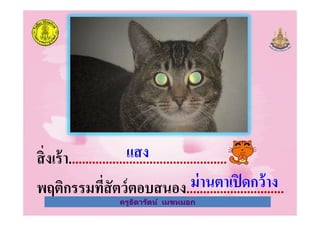 ครูธิดารัตน์ เมฆหมอก
สิงเร้า...............................................
พฤติกรรมทีสัตว์ตอบสนอง.............................
แสง
ม่านตาเปิดกว้าง
ครูธิดารัตน์ เมฆหมอก
 