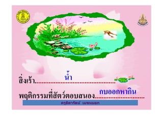 ครูธิดารัตน์ เมฆหมอก
สิงเร้า...............................................
พฤติกรรมทีสัตว์ตอบสนอง.............................
นํ&า
กบออกหากิน
ครูธิดารัตน์ เมฆหมอก
 