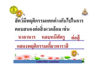 สัตว์มีพฤติกรรมแตกต่างกันไปในการ
ตอบสนองต่อสิงแวดล้อม เช่น
.............................................................หาอาหาร หลบหนีศัตรู ต่อสู้
ครูธิดารัตน์ เมฆหมอก
.............................................................
.............................................................
หาอาหาร หลบหนีศัตรู ต่อสู้
แสดงพฤติกรรมเกี&ยวพาราสี
ครูธิดารัตน์ เมฆหมอก
 