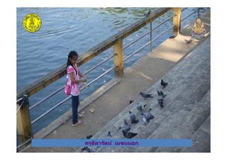 ครูธิดารัตน์ เมฆหมอกครูธิดารัตน์ เมฆหมอก
 