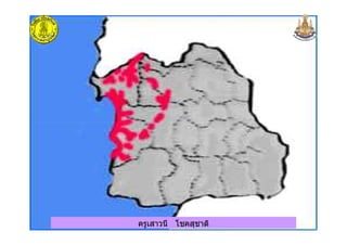 ครูเสาวนี โชคสุชาติครูเสาวนี โชคสุชาติ
 