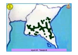 ครูเสาวนี โชคสุชาติครูเสาวนี โชคสุชาติ
 