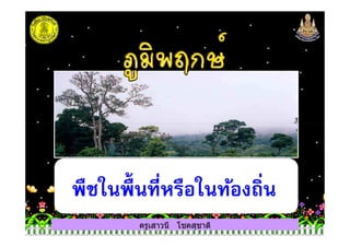 ครูเสาวนี โชคสุชาติ
พืชในพื+นที$หรือในท้องถิ$น
 