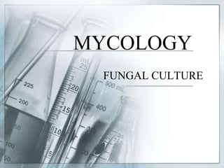 MYCOLOGY FUNGAL CULTURE 