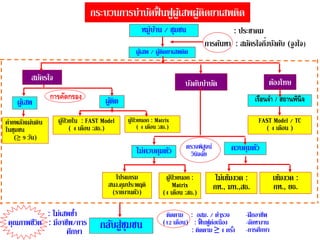 กระบวนกำรบำบัดืื้ นืูผู้เสพผู้ติดยำเสพติด
ค่ำยพลังแผ่นดิน
ในชุมชน
(≥ 9 วัน)
หมู่บ้ำน / ชุมชน
ผู้เสพ / ผู้ติดยำเสพติด
ผู้ป่ วยใน : FAST Model
( 4 เดือน :สธ.)
สมัครใจ
ไม่เข้มงวด :
กห., มท.,สธ.
ต้องโทษ
บังคับบำบัด
: ประชำคม
กำรค้นหำ : สมัครใจกึ่งบังคับ (จูงใจ)
ผู้เสพ
ไม่ควบคุมตัว ควบคุมตัว
ผู้ติด เรือนจา / สถานพินิจ
ผู้ป
่ วยนอก : Matrix
( 4 เดือน :สธ.)
โปรแกรม
สนง.คุมประพฤติ
(รำยงำนตัว)
ผู้ป่ วยนอก :
Matrix
(4 เดือน :สธ.)
เข้มงวด :
กห., ยธ.
FAST Model / TC
( 4 เดือน )
การคัดกรอง
กลับสู่ชุมชน
ติดตำม : อสม. / ตำรวจ
(12 เดือน) : ืื้ นืูต่อเนื่อง
: ติดตำม ≥ 4 ครั้ง
: ไม่เสพซ้ำ
คุณภำพชีวิต : มีอำชีพ/กำร
ศึกษำ
-ฝึกอำชีพ
-จัดหำงำน
-กำรศึกษำ
ตรวจพิสูจน์
วินิจฉัย
 