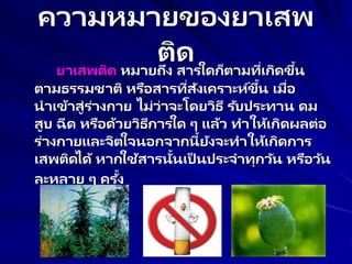 ความหมายของยาเสพ
ติด
ยาเสพติด หมายถึง สารใดก็ตามที่เกิดขึ้น
ตามธรรมชาติ หรือสารที่สังเคราะห์ขึ้น เมื่อ
นาเข้าสู่ร่างกาย ไม่ว่าจะโดยวิธี รับประทาน ดม
สูบ ฉีด หรือด้วยวิธีการใด ๆ แล้ว ทาให้เกิดผลต่อ
ร่างกายและจิตใจนอกจากนี้ยังจะทาให้เกิดการ
เสพติดได้ หากใช้สารนั้นเป็ นประจาทุกวัน หรือวัน
ละหลาย ๆ ครั้ง
 