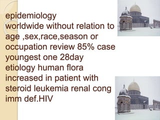 epidemiology
worldwide without relation to
age ,sex,race,season or
occupation review 85% case
youngest one 28day
etiology human flora
increased in patient with
steroid leukemia renal cong
imm def.HIV
 