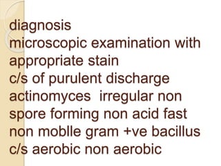 diagnosis
microscopic examination with
appropriate stain
c/s of purulent discharge
actinomyces irregular non
spore forming non acid fast
non moblle gram +ve bacillus
c/s aerobic non aerobic
 