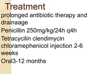 Treatment
prolonged antibiotic therapy and
drainaage
Penicillin 250mg/kg/24h q4h
Tetracycilin clendimycin
chloramephenicol injection 2-6
weeks
Oral3-12 months
 