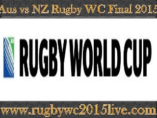 wc final Australia vs New zealand live coverage