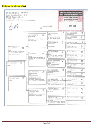 Page 3/3
Pédigrée du pigeon offert
 