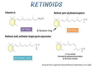 RETINOL RETINAL
RETINOIC ACID
β-ionone ring
 