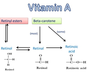 Retinyl esters Beta-carotene
Retinol Retinal Retinoic
acid
(most)
(some)
 