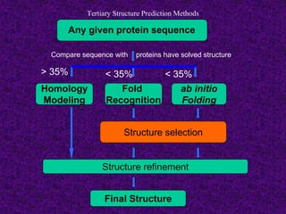 Tertiary Structure Prediction Methods
Any given protein sequence
Structure selection
Compare sequence with proteins have solved structure
Homology
Modeling
> 35%
Fold
Recognition
ab initio
Folding
< 35%< 35%
Structure refinement
Final Structure
Structure selection
 