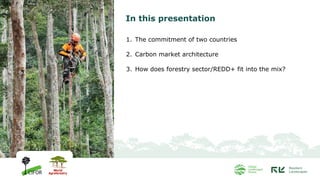In this presentation
1. The commitment of two countries
2. Carbon market architecture
3. How does forestry sector/REDD+ fi...