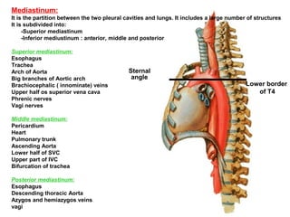 Mediastinum:
It is the partition between the two pleural cavities and lungs. It includes a large number of structures
It is subdivided into:
     -Superior mediastinum
     -Inferior mediustinum : anterior, middle and posterior

Superior mediastinum:
Esophagus
Trachea
Arch of Aorta                                Sternal angle
Big branches of Aortic arch                   angle
Brachiocephalic ( innominate) veins                                                       Lower border
Upper half os superior vena cava                                                             of T4
Phrenic nerves
Vagi nerves

Middle mediastinum:
Pericardium
Heart
Pulmonary trunk
Ascending Aorta
Lower half of SVC
Upper part of IVC
Bifurcation of trachea

Posterior mediastinum:
Esophagus
Descending thoracic Aorta
Azygos and hemiazygos veins
vagi
 