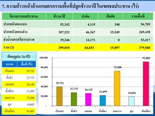 7. ความก้าวหน้าด้านเกษตรกรรมพืนที่ปลูกข้าวนาปี ในเขตชลประทาน (ไร่)
     โครงการชลประทาน                   ข้าวนาปี              ปาล์ม            พืชผัก           รวมพืนที่
ปากพนังตอนบน                               52,242               4,115                348               56,705
ปากพนังตอนล่าง                            207,522              46,367             15,549              269,438
ส่งน้านครศรีธรรมราช                        39,246              14,171                  0               53,417
รวม (2)                                   299,010             64,653              15,897              379,560
   พืชฤดูฝน (นาปี)           100,000                                                                    91,801
  สภาพ        พืนที่ (ไร่)
                              80,000                                                72,588
 เริ่มงอก          39,751
  ตั้งตัว          27,737     60,000
 แตกกอ             26,142               39,751
                              40,000
                                                    27,737     26,142
 ตั้งท้อง          21,899                                               21,899               19,092
 ออกรวง            72,588     20,000

    สุก            19,092         -
 เก็บเกี่ยว        91,801               เริ่มงอก    ตังตัว    แตกกอ     ตังท้อง    ออกรวง     สุก      เก็บเกี่ยว
 