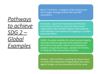 Sdg 2 Example 560260459-Sustainable-development-goals-PPT.pptx