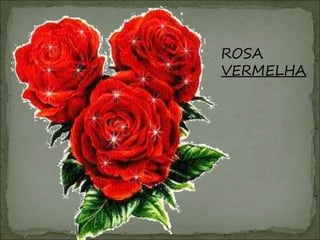 ROSA
VERMELHA
 