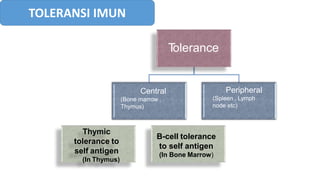 TOLERANSI IMUN
T
olerance
Central
(Bone marrow ,
Thymus)
Peripheral
(Spleen , Lymph
node etc)
Thymic
tolerance to
self antigen
(In Thymus)
B-cell tolerance
to self antigen
(In Bone Marrow)
 