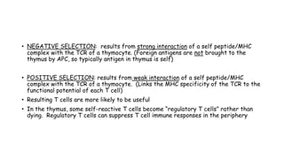 • NEGATIVE SELECTION: results from strong interaction of a self peptide/MHC
complex with the TCR of a thymocyte. (Foreign antigens are not brought to the
thymus by APC, so typically antigen in thymus is self)
• POSITIVE SELECTION: results from weak interaction of a self peptide/MHC
complex with the TCR of a thymocyte. (Links the MHC specificity of the TCR to the
functional potential of each T cell)
• Resulting T cells are more likely to be useful
• In the thymus, some self-reactive T cells become “regulatory T cells” rather than
dying. Regulatory T cells can suppress T cell immune responses in the periphery
 