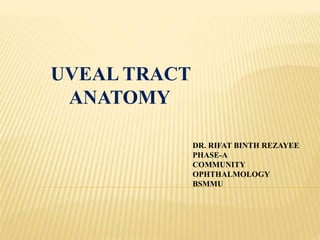 UVEAL TRACT
ANATOMY
DR. RIFAT BINTH REZAYEE
PHASE-A
COMMUNITY
OPHTHALMOLOGY
BSMMU
 