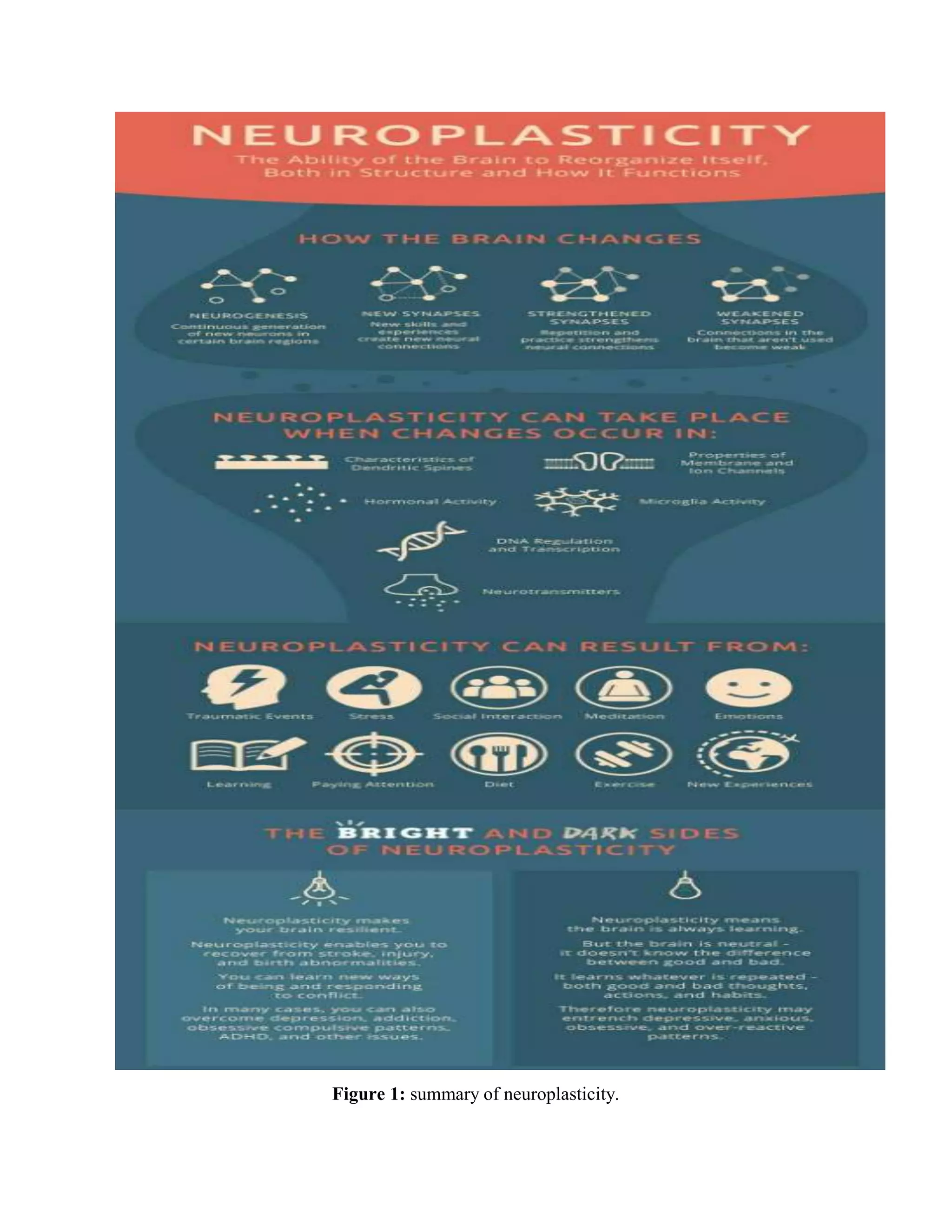 Figure 1: summary of neuroplasticity.
 