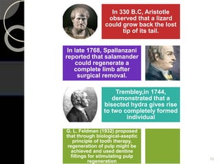 In 330 B.C, Aristotle
observed that a lizard
could grow back the lost
tip of its tail.
In late 1768, Spallanzani
reported that salamander
could regenerate a
complete limb after
surgical removal.
Trembley,in 1744,
demonstrated that a
bisected hydra gives rise
to two completely formed
individual
G. L. Feldman (1932) proposed
that through biological-aseptic
principle of tooth therapy,
regeneration of pulp might be
achieved and used dentine
fillings for stimulating pulp
regeneration
10
 