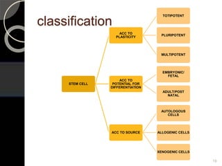 classification
STEM CELL
ACC TO
PLASTICITY
TOTIPOTENT
PLURIPOTENT
MULTIPOTENT
ACC TO
POTENTIAL FOR
DIFFERENTIATION
EMBRYONIC/
FETAL
ADULT/POST
NATAL
ACC TO SOURCE
AUTOLOGOUS
CELLS
ALLOGENIC CELLS
XENOGENIC CELLS
19
 