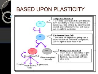 BASED UPON PLASTICITY
Stem cells Cell plasticity Source of stem
cells
Totipotent Each cell can
develop into a new
individual
Cells from early (1-
3 days) embryos
Pluripotent Cells can form any (over
200) cell types
Some cells of
blastocyst (5-14
days)
Multipotent Cells differentiated, but
can form a no. of other
tissues
Umbilical cord
blood, and
postnatal stem
cells including
dental pulp stem
cells
20
 